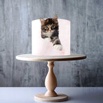 Cats edible cake topper decoration